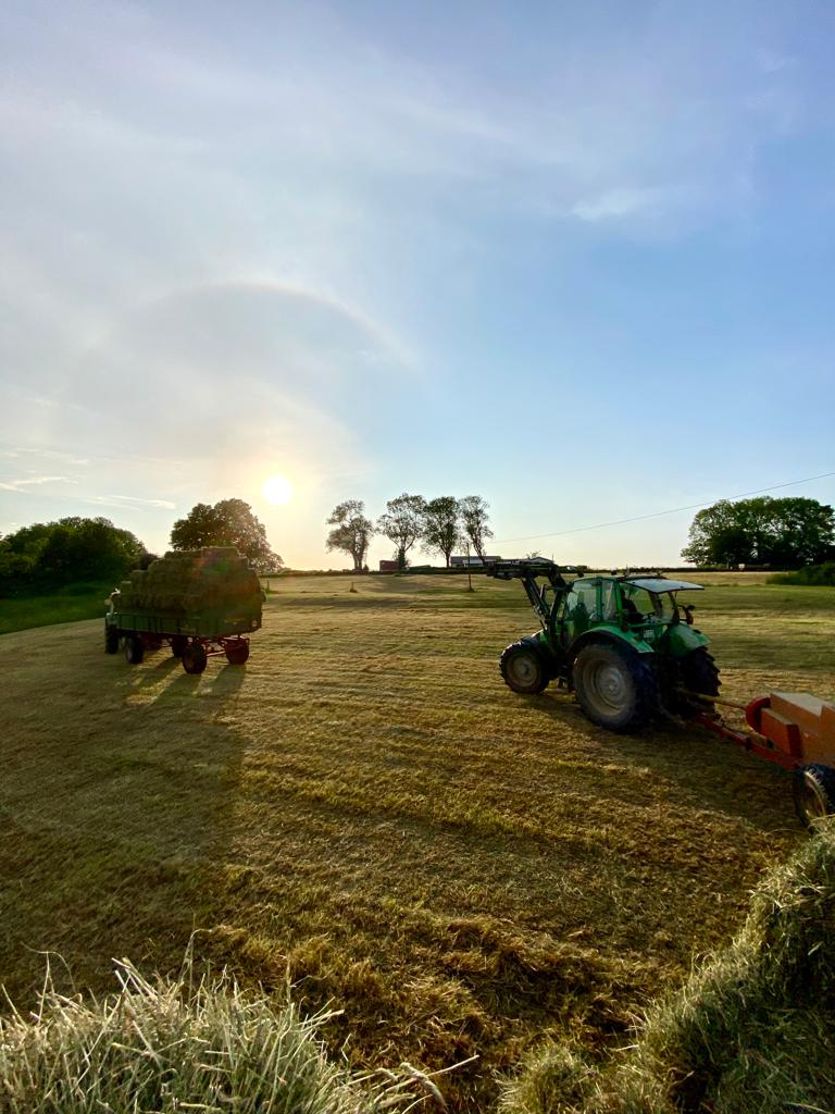 078cfeb8-9047-4c8e-a797-054bd725e536