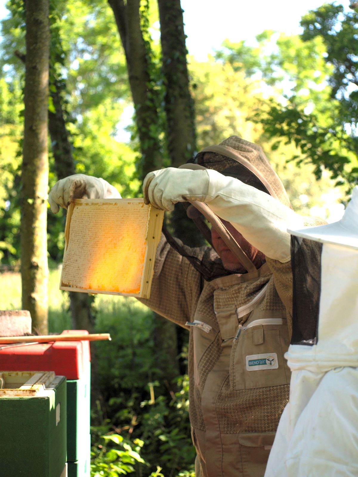 f9cfb0e2-904e-4956-a232-73b5a2d67433